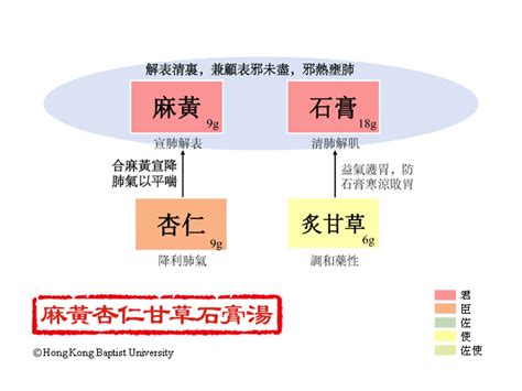 麻黃杏仁甘草石膏湯